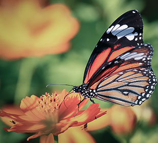 ddos压力测试网页端