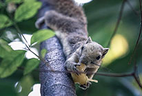 ddos压力测试网页端