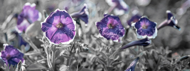 免费ddos平台攻击